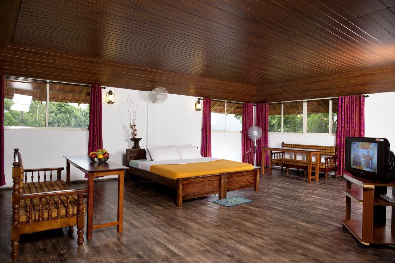 Bed and Breakfast Rock Haven Wayanad Kalpatta Zewnętrze zdjęcie